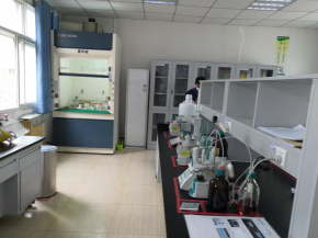 西安載元派爾森風貌